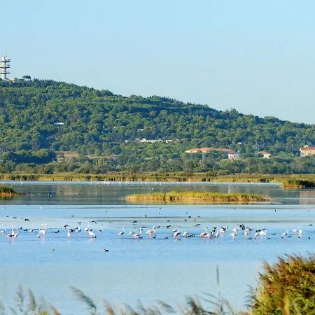 La Palme D'or-16 By Interhome * Agde