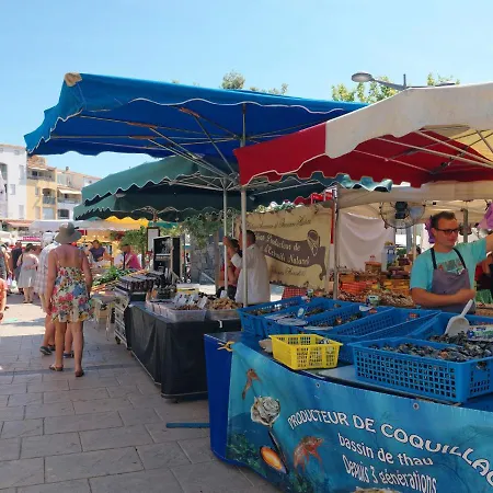 La Palme D'or-16 By Interhome * Agde