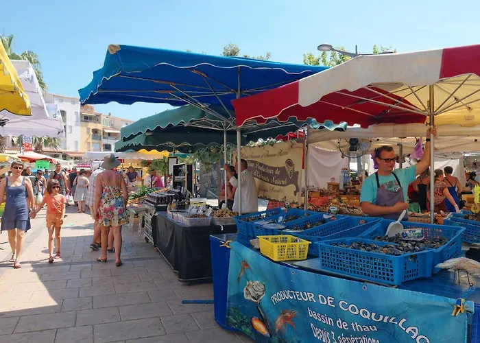 La Palme D'or-16 By Interhome * אגדה